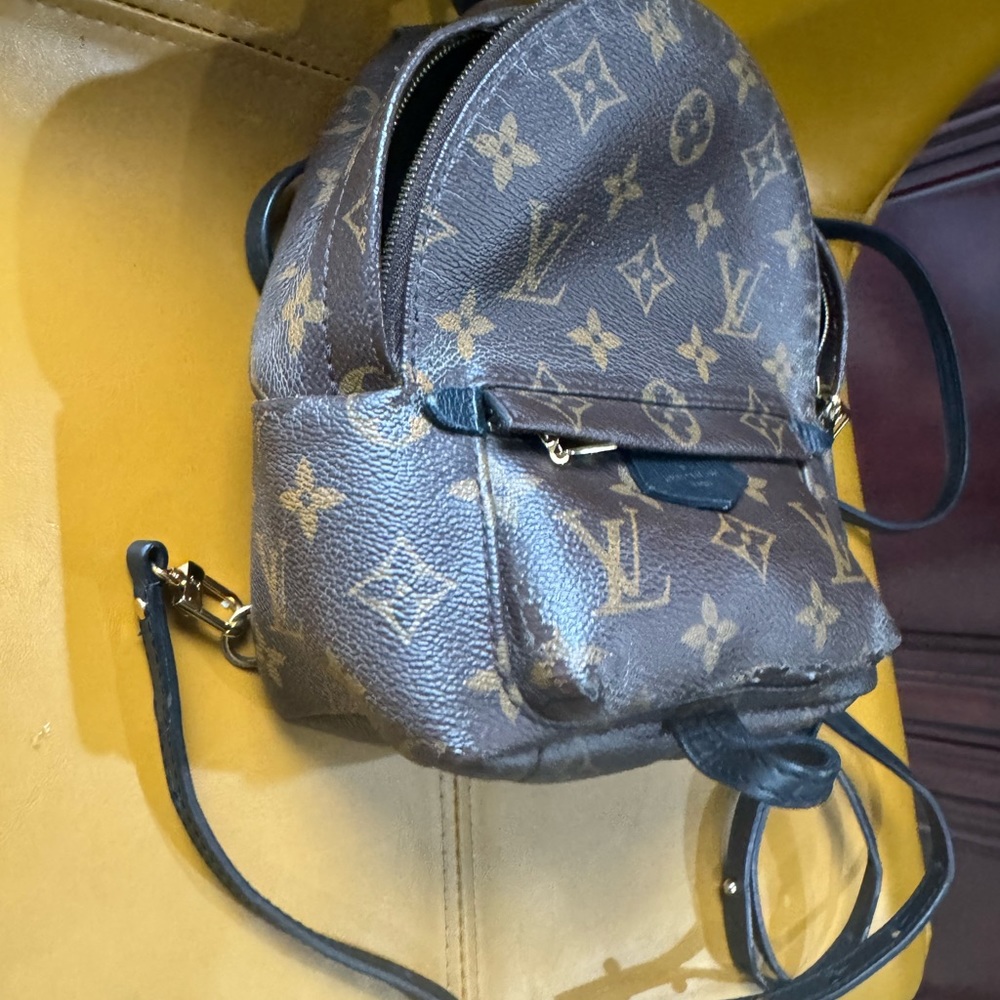 Louis Vuitton Monogrammed Palm Springs mini back pack - Picture 13 of 16